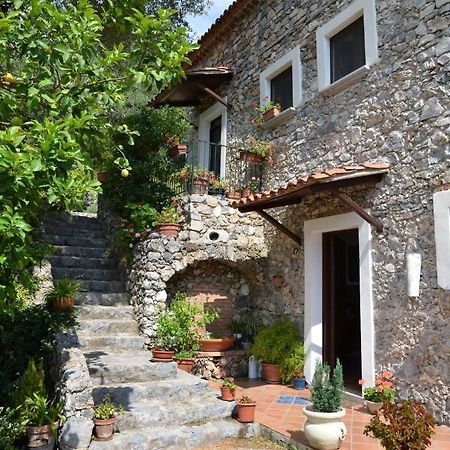 Agrestis Domus Konuk evi San Giovanni a Piro Dış mekan fotoğraf