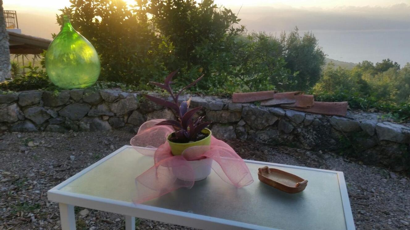 Agrestis Domus Konuk evi San Giovanni a Piro Dış mekan fotoğraf