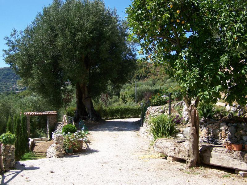 Agrestis Domus Konuk evi San Giovanni a Piro Dış mekan fotoğraf