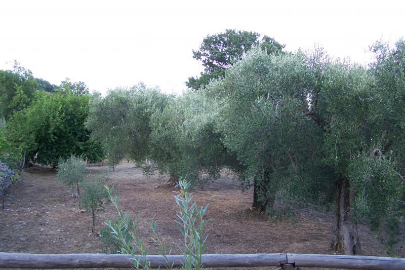 Agrestis Domus Konuk evi San Giovanni a Piro Dış mekan fotoğraf