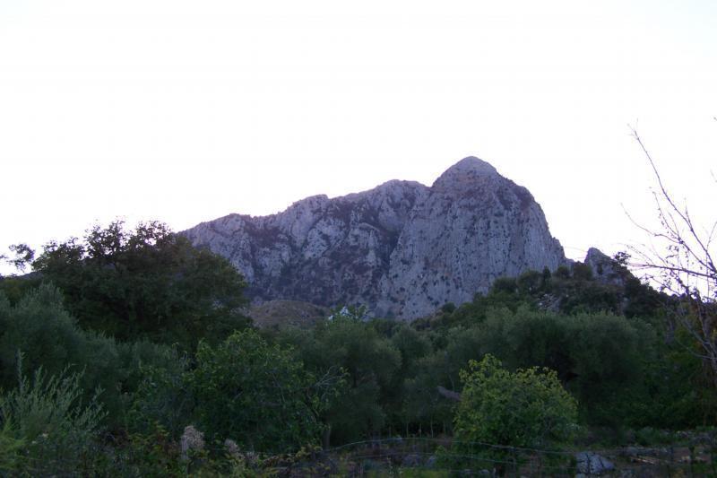 Agrestis Domus Konuk evi San Giovanni a Piro Dış mekan fotoğraf