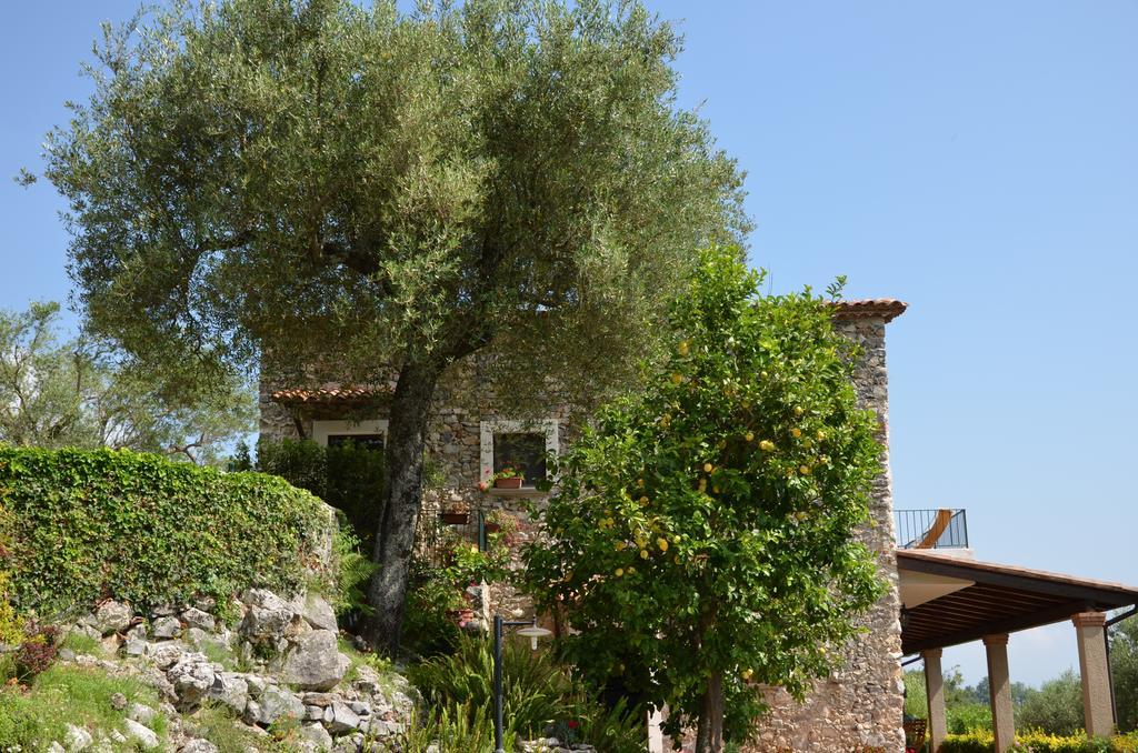 Agrestis Domus Konuk evi San Giovanni a Piro Dış mekan fotoğraf