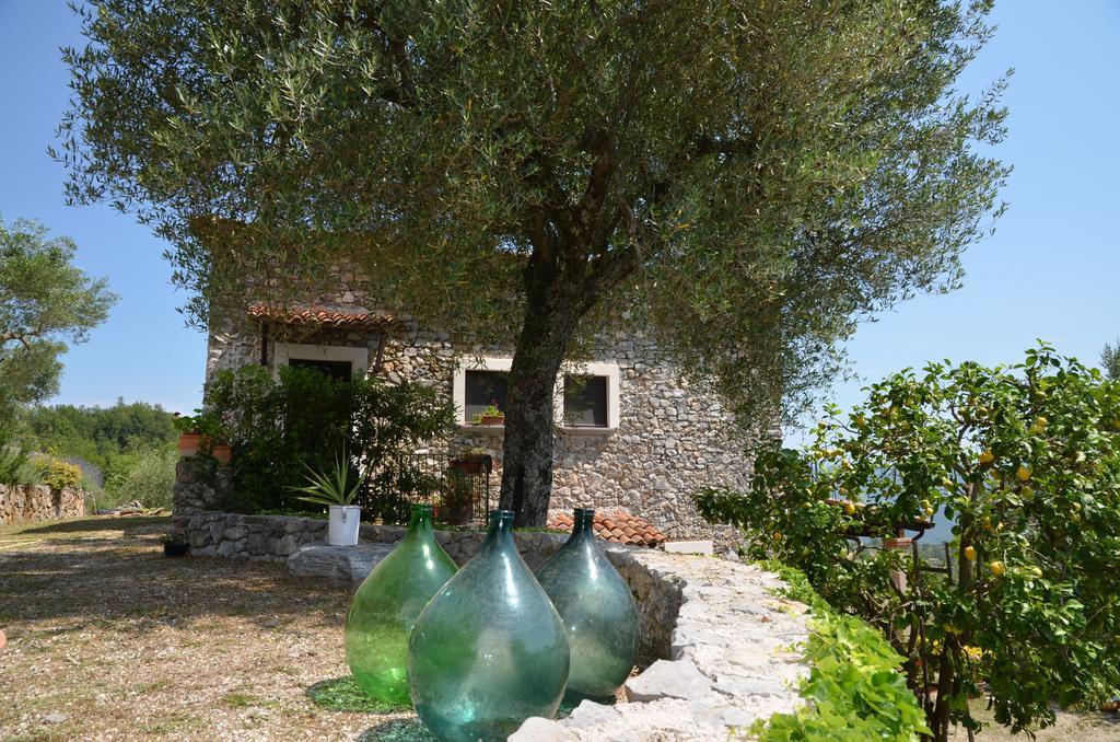 Agrestis Domus Konuk evi San Giovanni a Piro Dış mekan fotoğraf