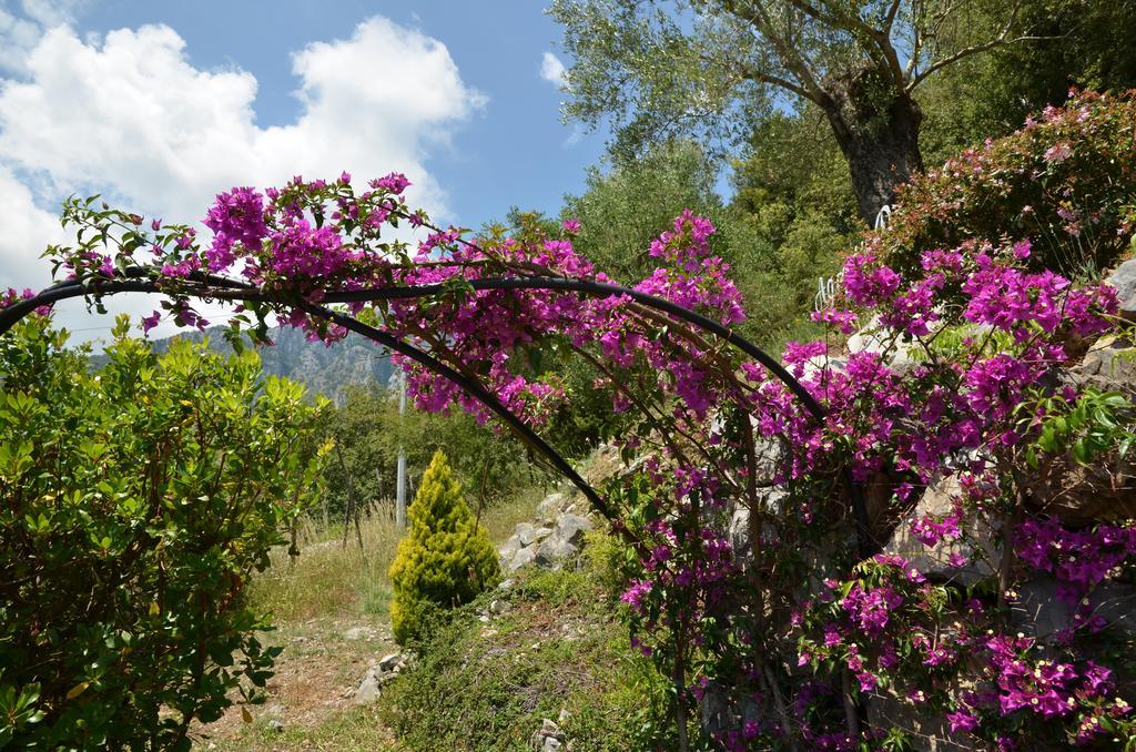 Agrestis Domus Konuk evi San Giovanni a Piro Dış mekan fotoğraf