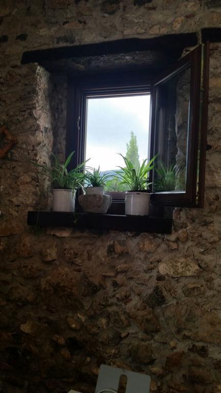 Agrestis Domus Konuk evi San Giovanni a Piro Dış mekan fotoğraf